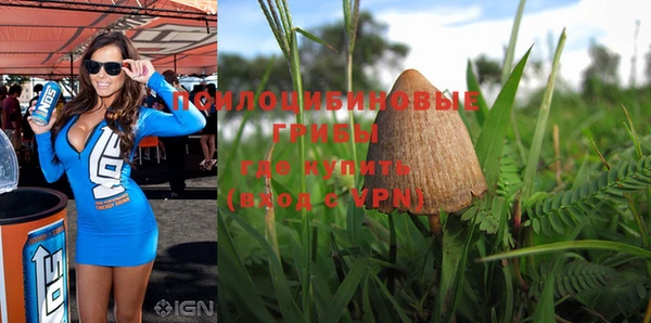 марки nbome Алексеевка