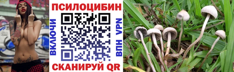 Галлюциногенные грибы прущие грибы  хочу   Алушта 