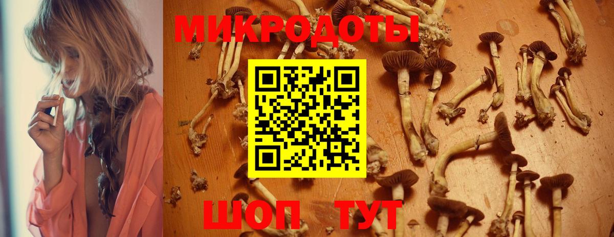 Псилоцибиновые грибы Psilocybine cubensis  купить   Вход с VPN  Алушта  Псилоцибиновые грибы Psilocybine cubensis 